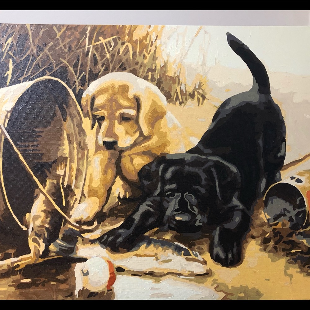 Original Painting (gallery edges)